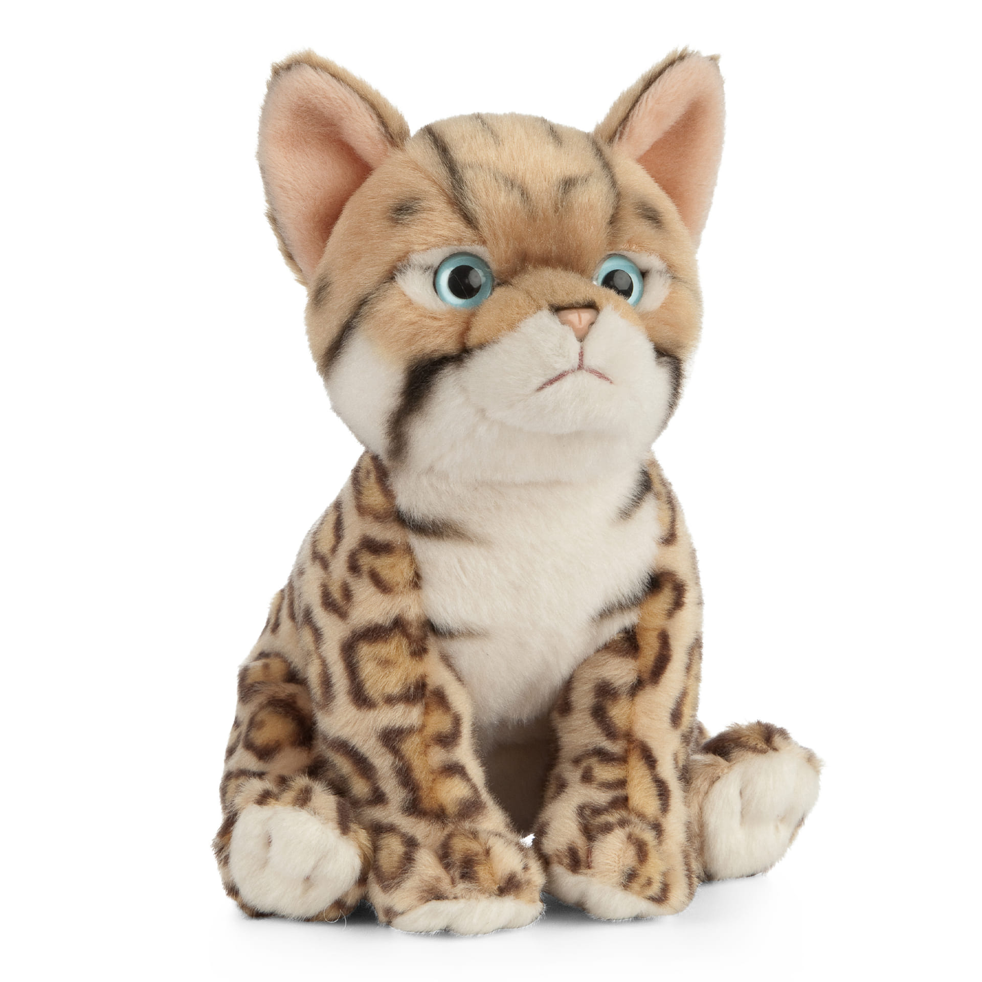 LIVING NATURE Bengal Kitten